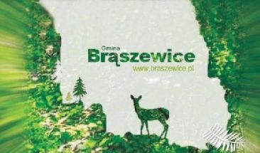 Gmina Brąszewice